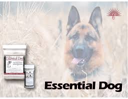 canine essentials