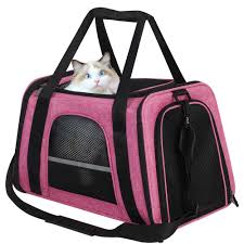 cat carrier