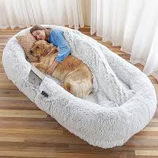 dog beds