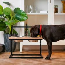 dog bowls and feeders