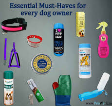 dog care essentials