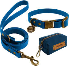 dog collars and leashes