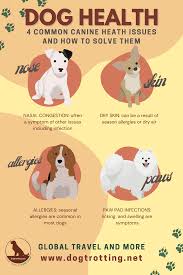 dog health