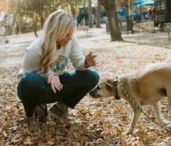 dogs training