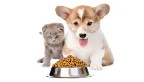 pet food