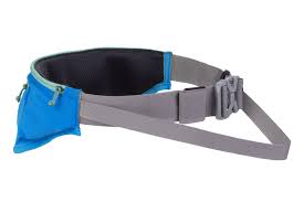 dog belt