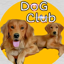 dog club