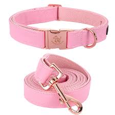 pet collars