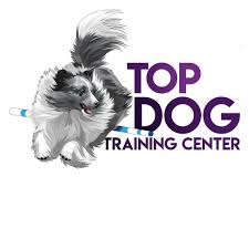 top dog training