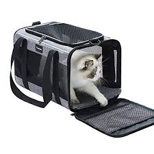 best cat carrier