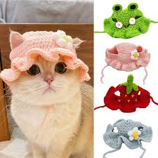 cat accessories