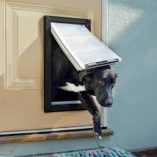 doggy door