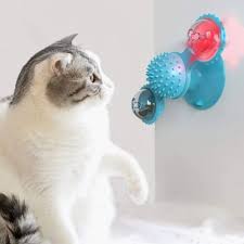 interactive cat toys