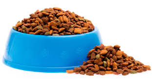 pet-food