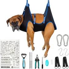 pet grooming equipment