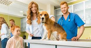 pet vets