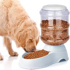 dog feeder