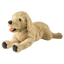 dog toy