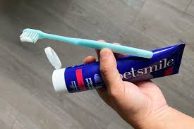 best dog toothbrush