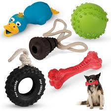 pet accessories