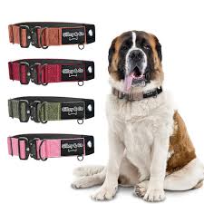 premium dog collars