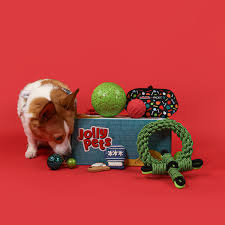 best dog toys