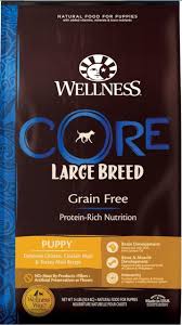 wellness core dog food