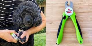 best dog clippers