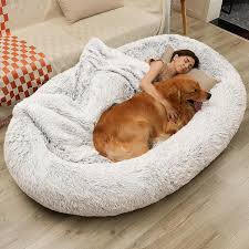 dog cot bed