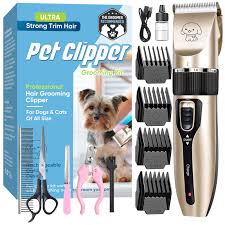 dog grooming tools