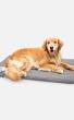 premium dog beds