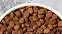 best dog food