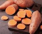 sweet potato for dogs