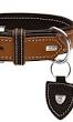 premium leather dog collars