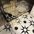 chew proof dog bed