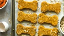 pumpkin dog treats