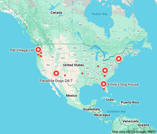 doggy daycare prices near me