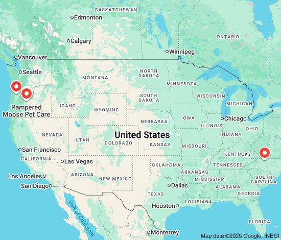 in home dog sitters near me
