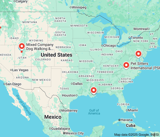 private dog sitters near me