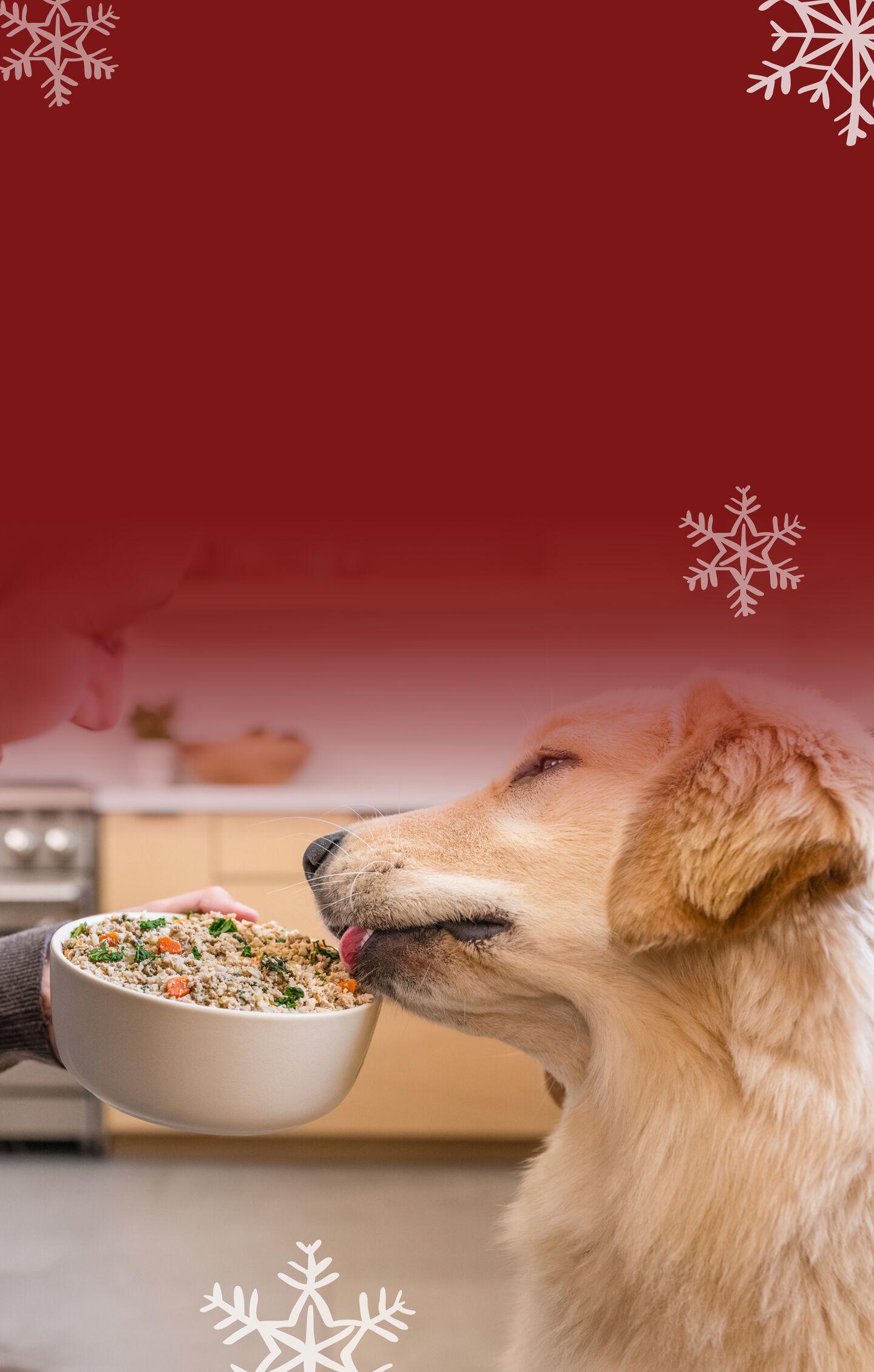 best dog food brands