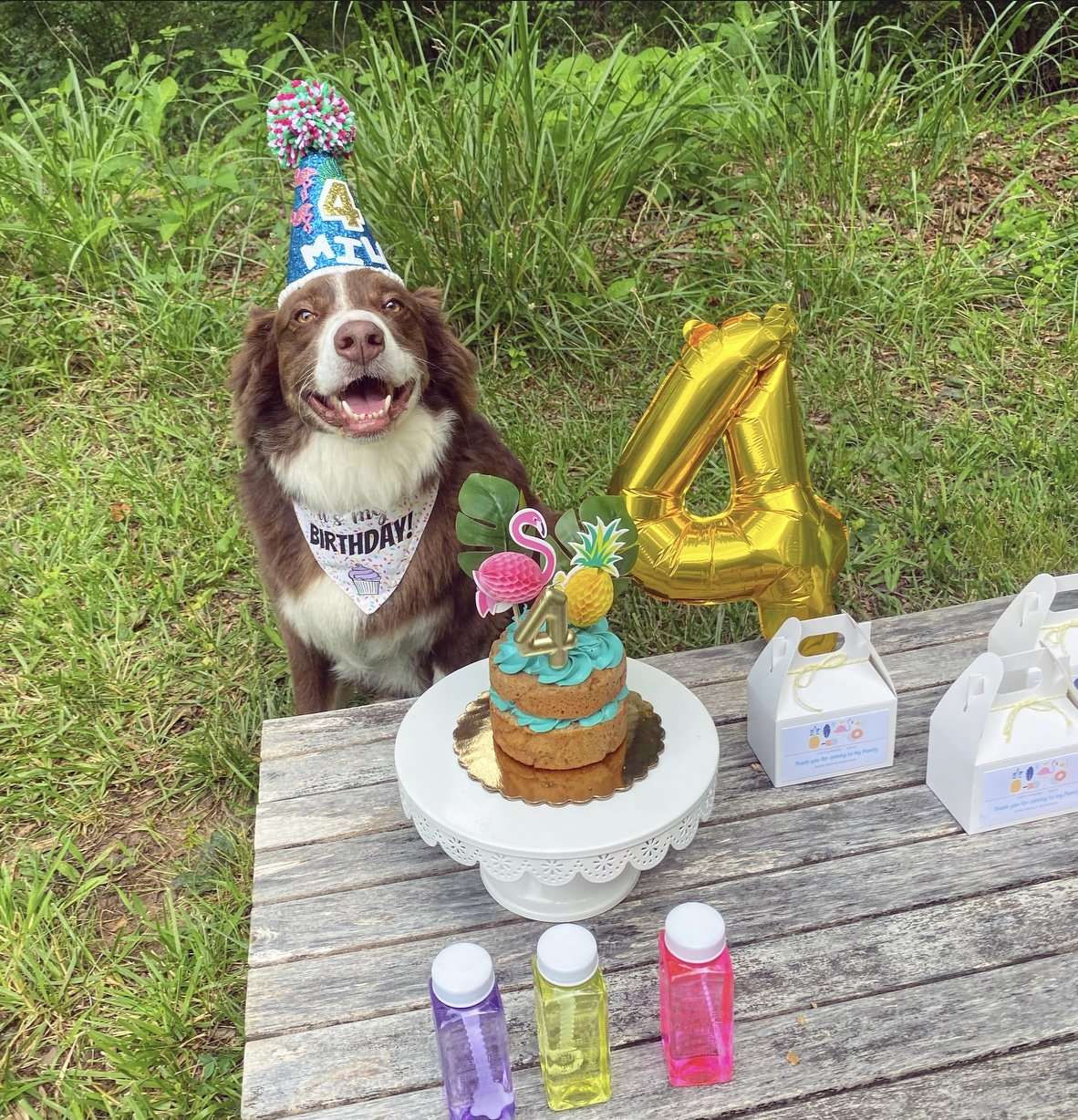 dog birthday cake near me
