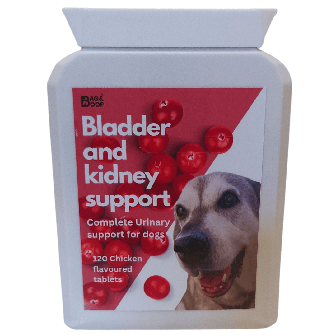dog bladder infection treatment