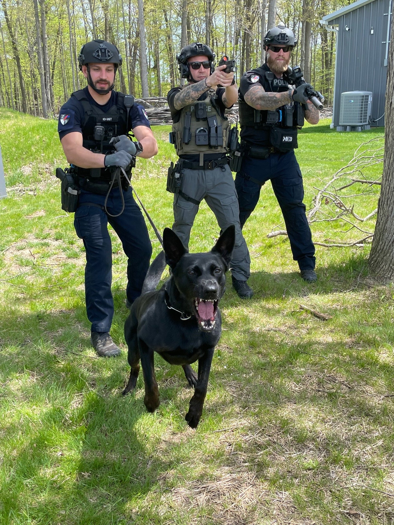 k9