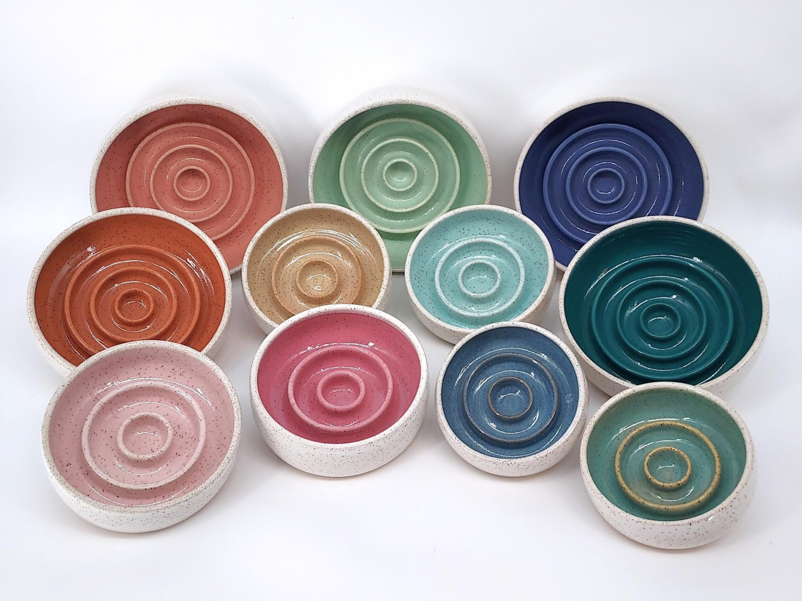 slowest dog feeder bowl