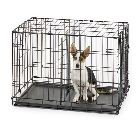 xl dog cage