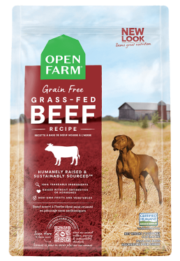 best affordable dog food