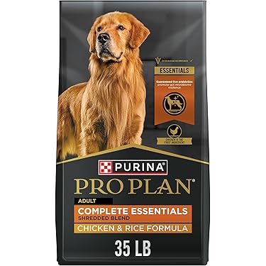 best cheap dog food