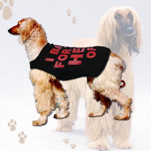 big dog clothing