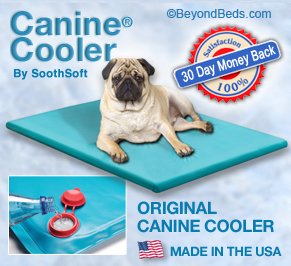 cooling dog bed
