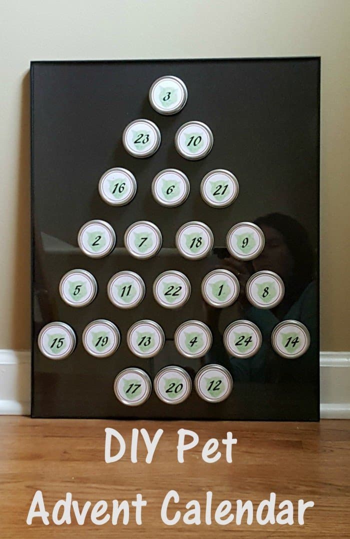 dog advent calendar